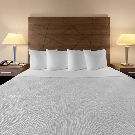 Wingate By Wyndham Troy-2