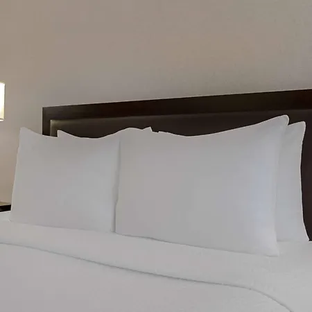 Ramada Plaza By Wyndham Calgary Downtown-3