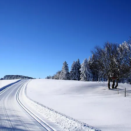 Logis Le Vernay-2
