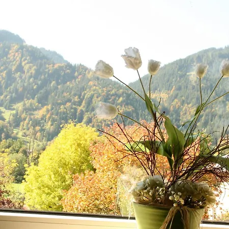 Hotel Garni Entstrasser-2