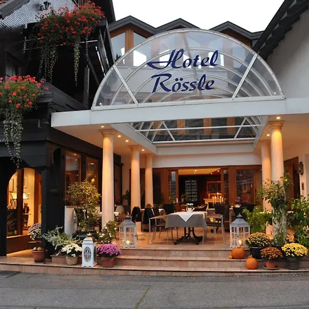 Hotel Roessle-3