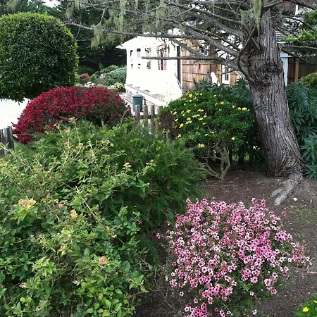 Lighthouse Lodge & Cottages-2