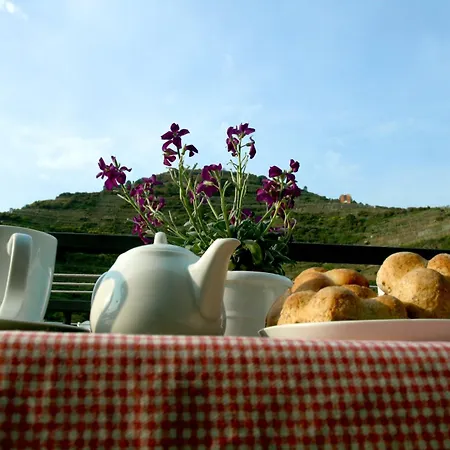 Da Baranin B&B And Apartment-2