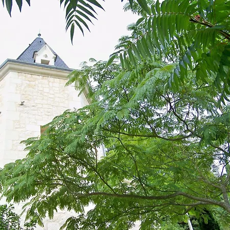 Logis Hôtels Troglododo-2