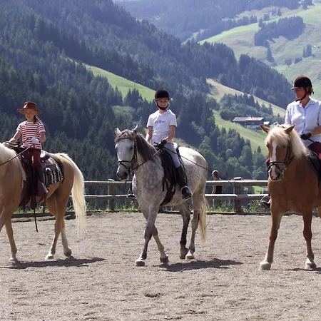 Altachhof Hotel Und Ferienanlage - Jokercard Im Sommer Inklusive-2