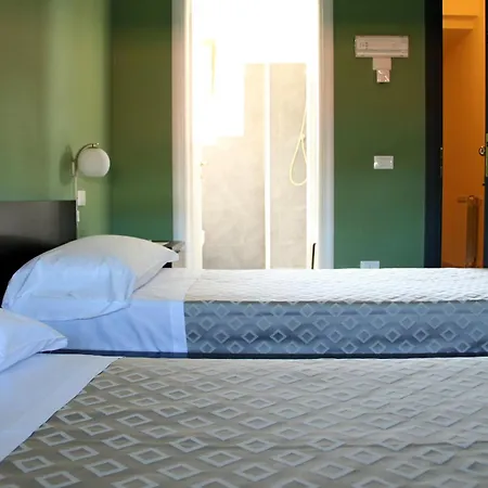 Hotel Sauro-2