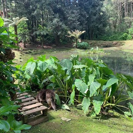 Chalets do Vale-2