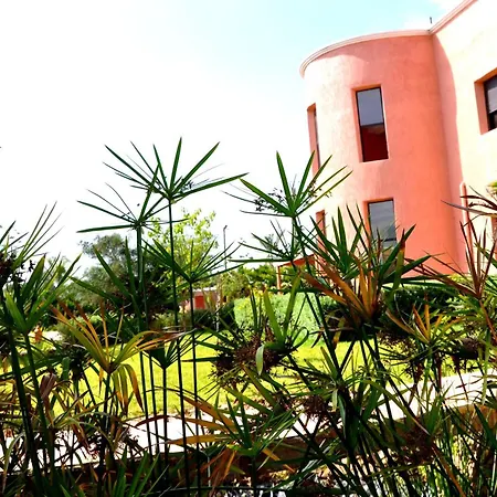Riad Hamdani-2