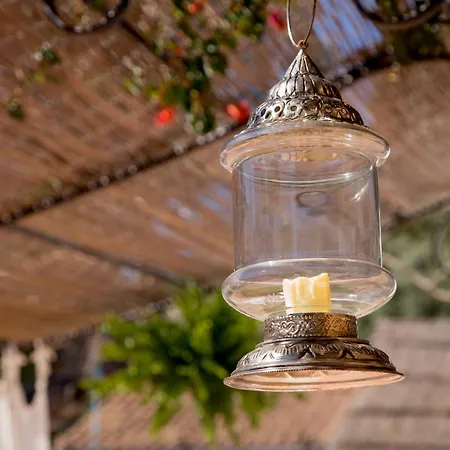 Boutique Hotel Rancho Los Lobos-3