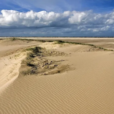 Ara Dune Hotel-2