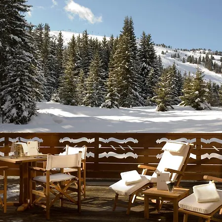 Hotel Le Palace des Neiges-3