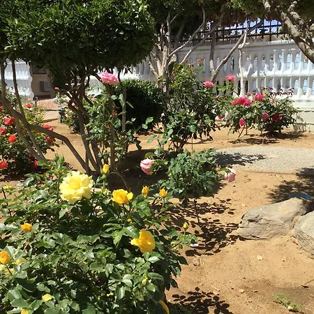 Americas Best Value Inn And Suites -Yucca Valley-2