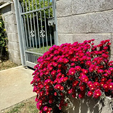 Tra campagna e mare-3