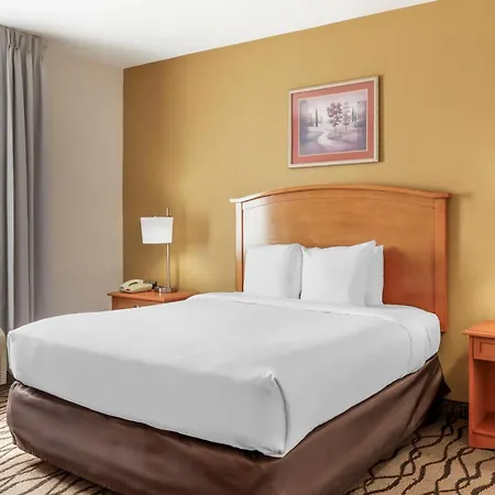 Comfort Inn & Suites Chesapeake - Portsmouth-3