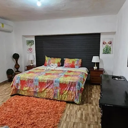 Canapalma Zona Colonial-3