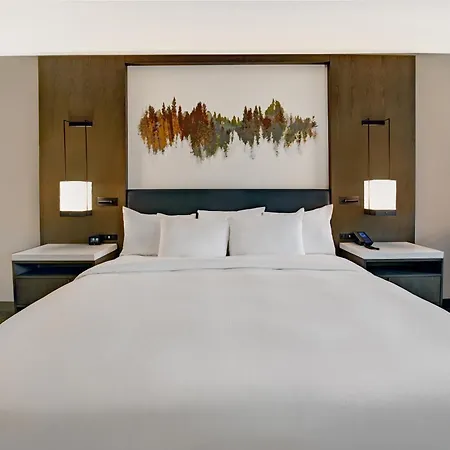 Hilton Peachtree City Atlanta Hotel & Conference Center-2
