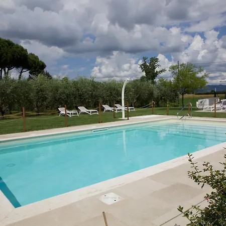 Rosa di Assisi-2