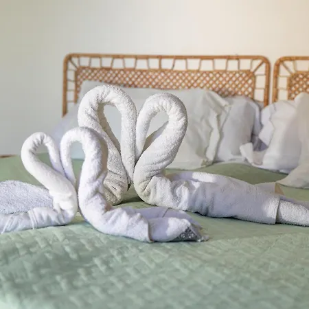 Bela Alexandra Guest House-2