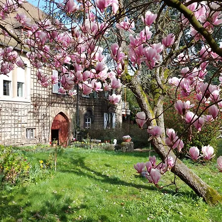 Pension Marienhof-2