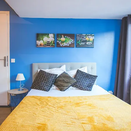 Colocation de luxe à Tourcoing avec jardin-3