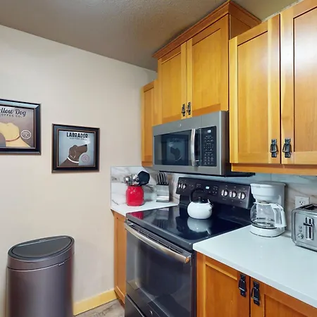 Copper Mountain Ski Hideaway-3