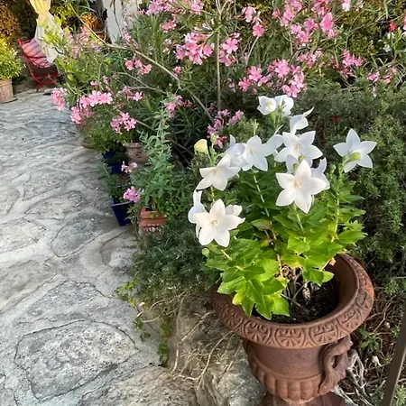 La Borie en Provence-2