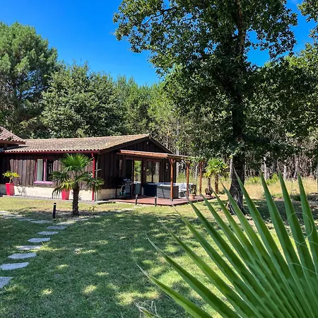 Hacienda de la Canopée avec piscine chauffée au sel-2