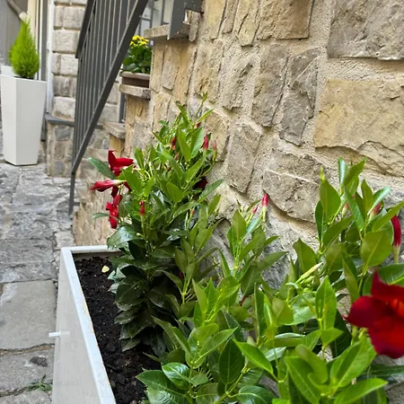 Solimena House 44-3