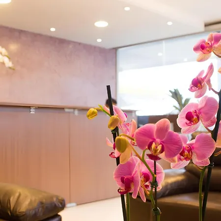 Hotel Toyo Inn-3