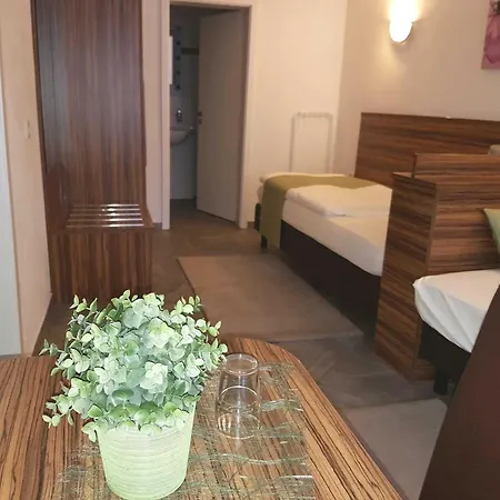 Hotel Garni Goldene Traube-3
