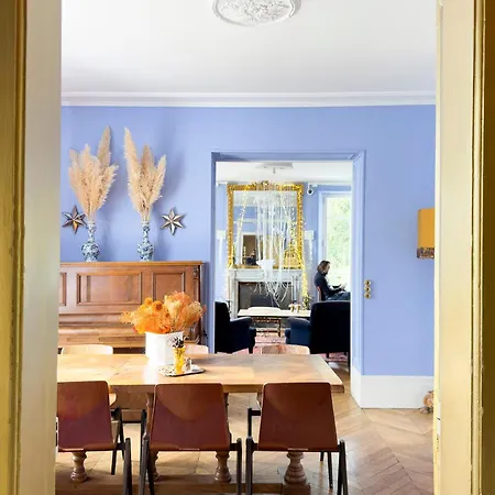 Maison Stella Cadente, Maison d'hôtes Artistique et Jardin à Provins-3