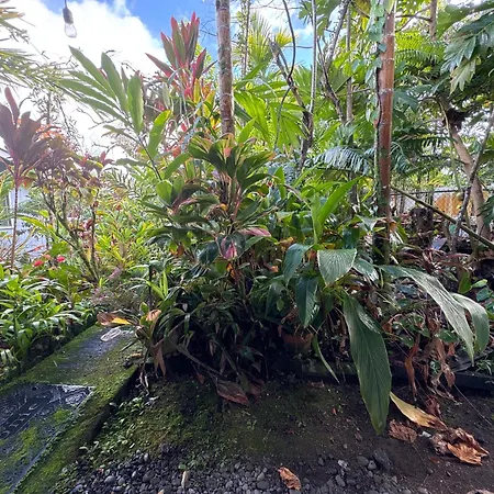 Hawaiian Ohana Home-2