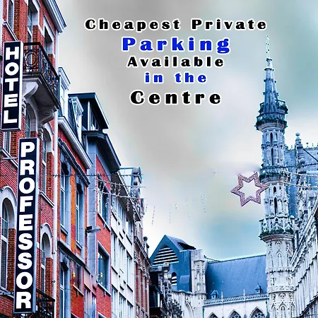 Hotel Professor Leuven Centrum-3