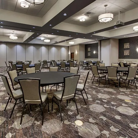 Drury Plaza Hotel Dallas Richardson-3