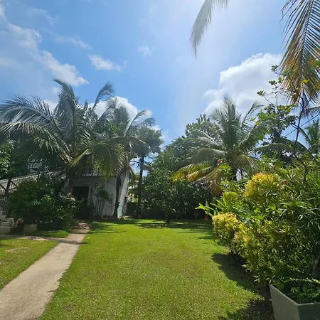 Optimum Residencies-2