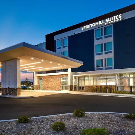 Springhill Suites By Marriott Holland-2