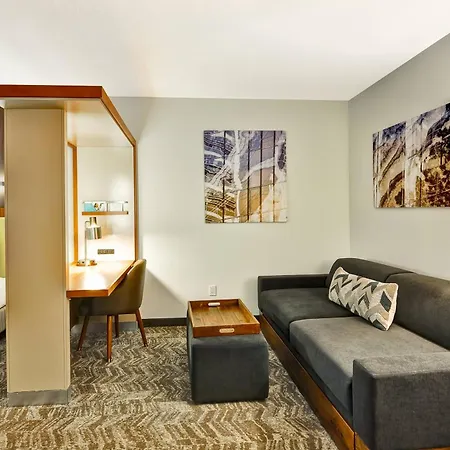 Springhill Suites By Marriott Columbia Fort Meade Area-2