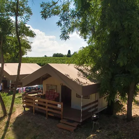 Sunflower Camping-2