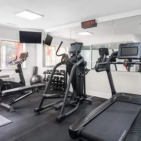 Holiday Inn & Suites San Mateo - Sfo By Ihg-2