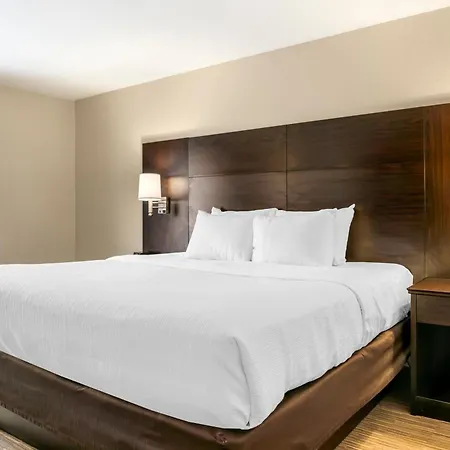 Quality Inn & Suites Monroe-3
