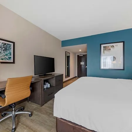 Comfort Inn & Suites Miami International Airport-2