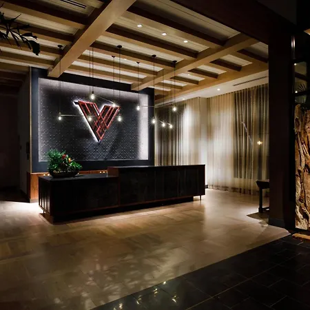 Hotel Vin, Grapevine, Autograph Collection-2