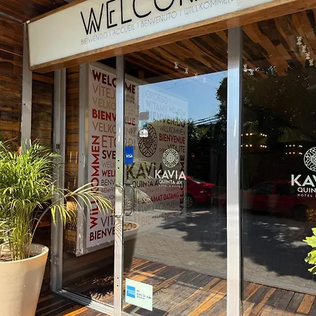 Hotel Kavia 5Th Avenida (Adults Only)-2