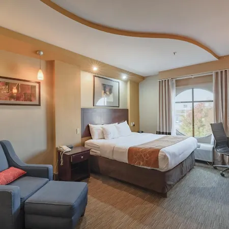 Comfort Suites Perrysburg - Toledo South-3