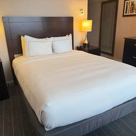 The Brookhaven Atlanta Hotel-2