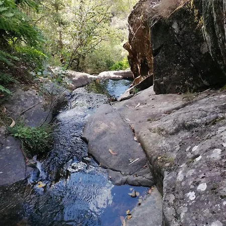Quinta Mata Da Se-3