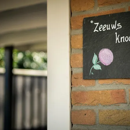 Studio ZEEUWS KNOOPJE-2