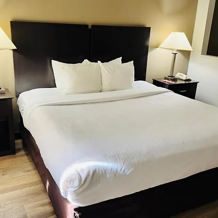 Econo Lodge Inn & Suites Monroe-3