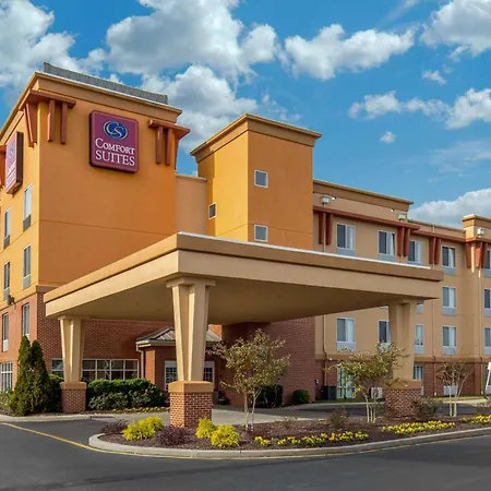 Comfort Suites Seaford-3