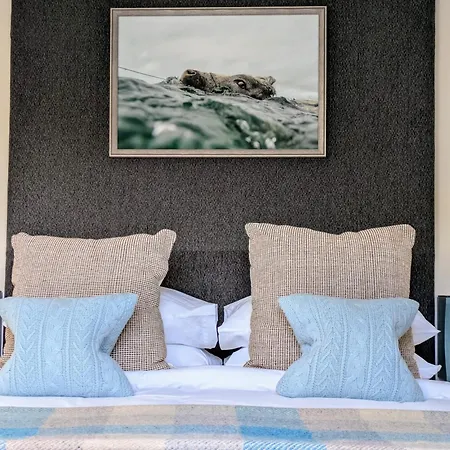 Hillside Lodge B&B-2